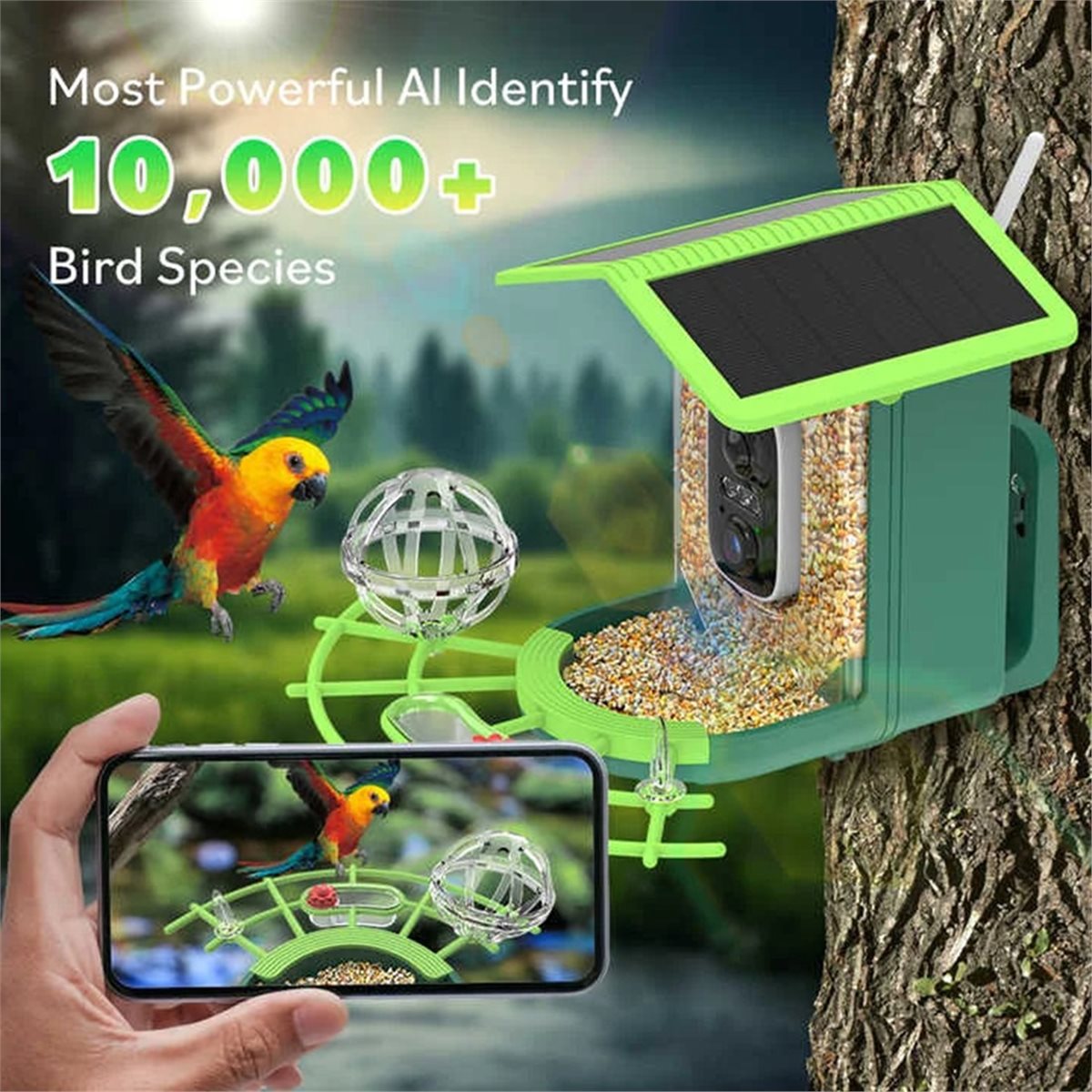 กล้องให้อาหารนกอัจฉริยะ ABPP พ - Power Tools Ai บทวิจารณ์และราคา